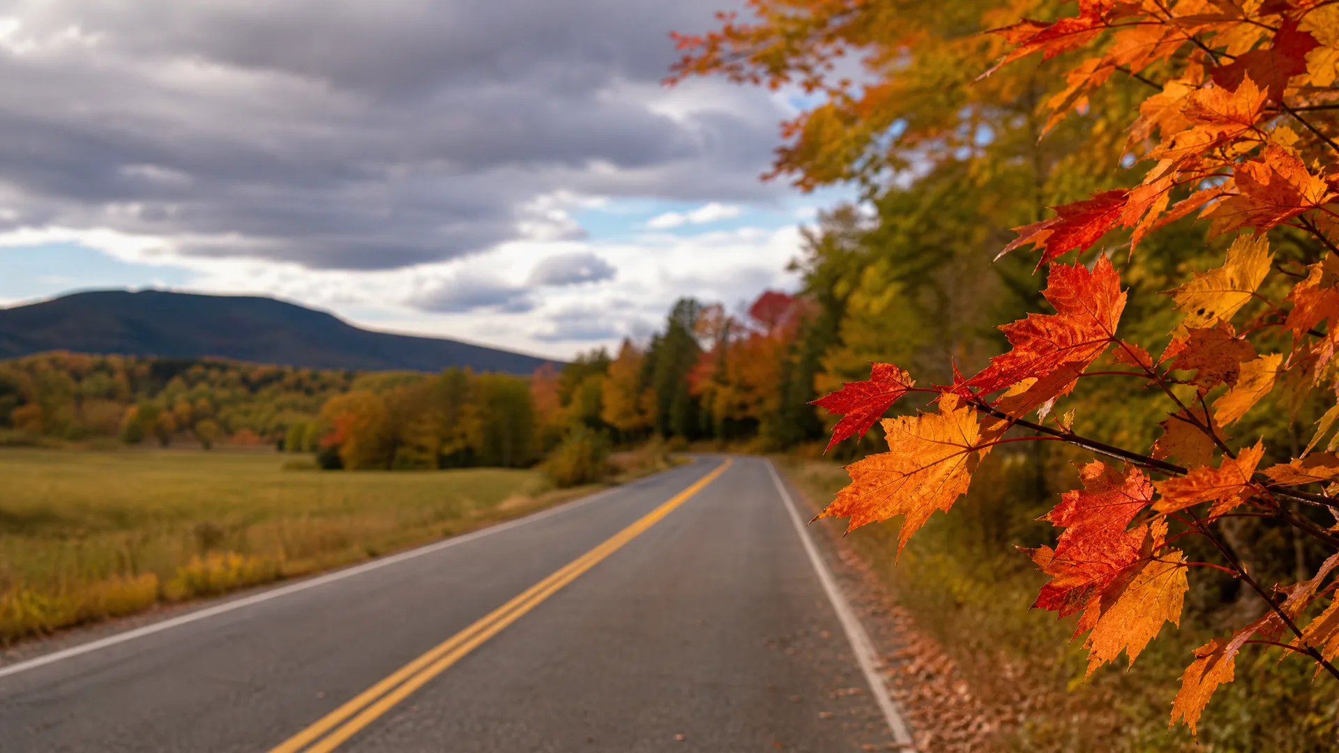 A two-lane road with a double yellow center line curves past a grass field toward distant hills, with orange and red maple leaves in close focus on the right.