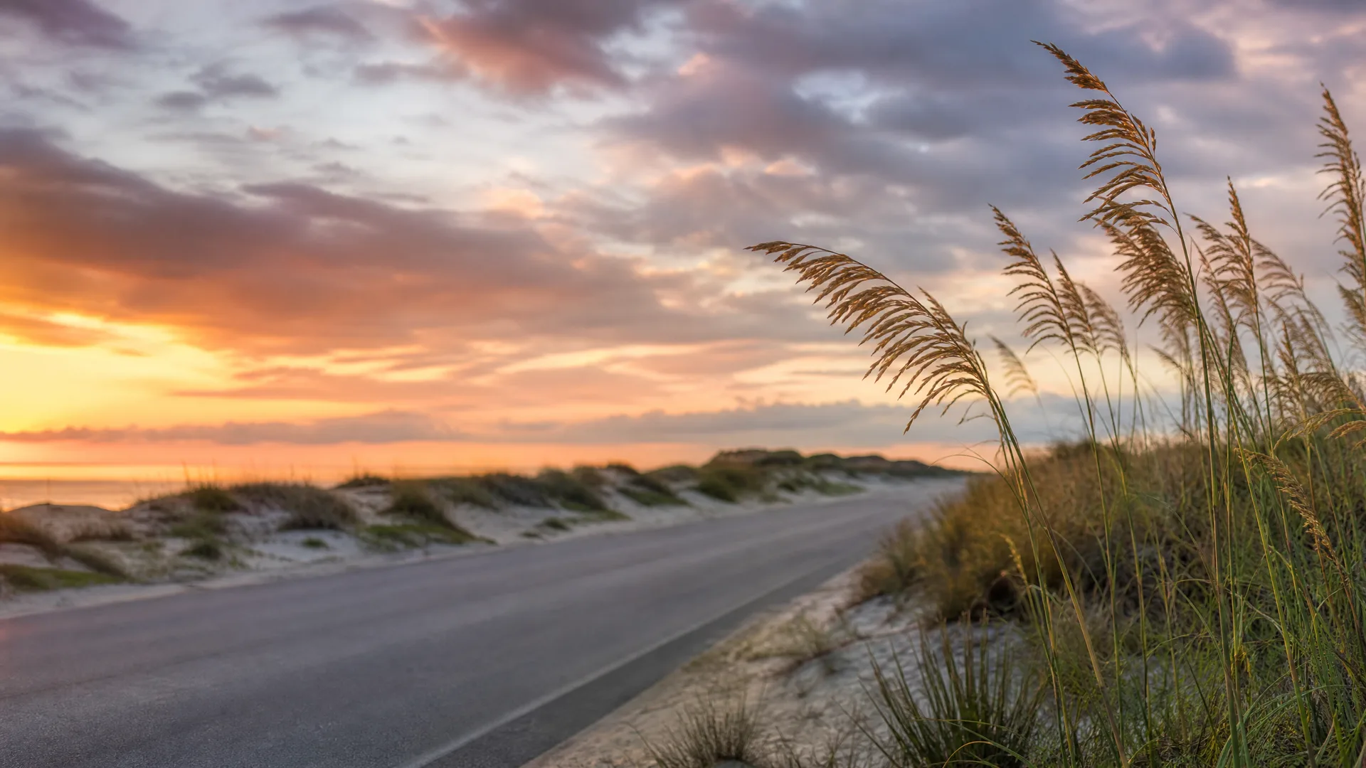 A two-lane paved road runs between low grassy sand dunes at sunset, with tall seed-topped grasses in sharp focus at right and water visible on the left horizon under orange and purple clouds.